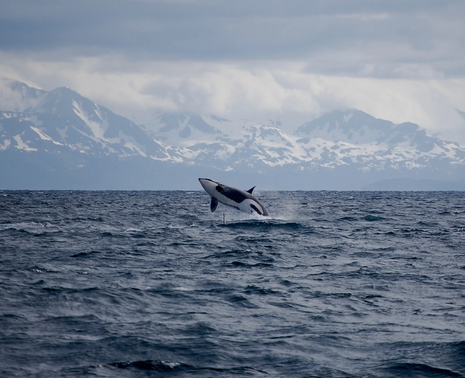 DSC_0691.jpg