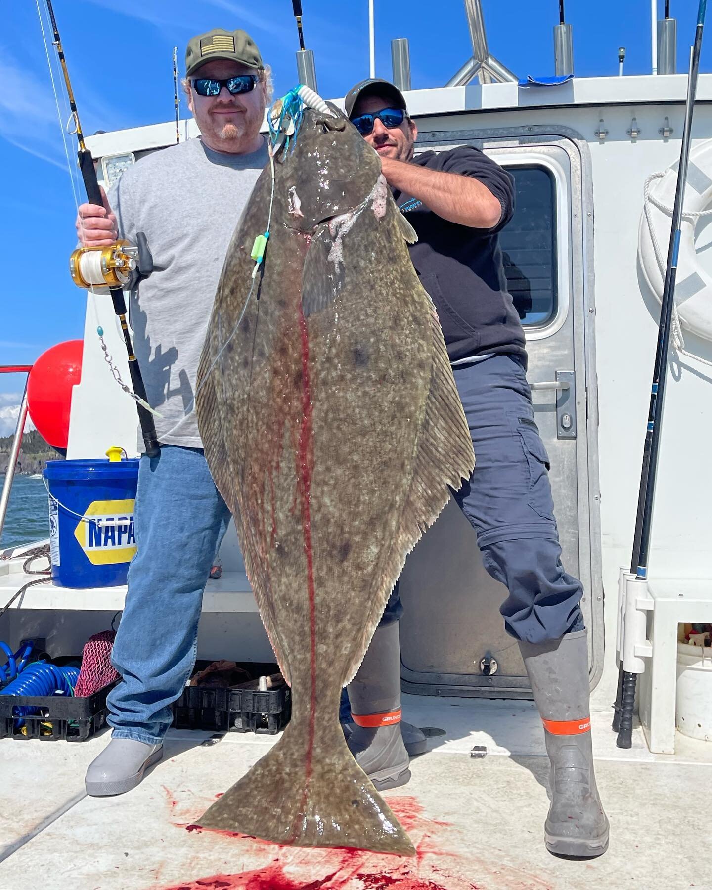 Both halibut boats out yesterday coming in with nice loads of fish. We have 2 boats available for booking tomorrow June 5th&hellip;. Call 907-304-3474 or book online on our website https://www.valdezsaltwateradventures.com. 🤟🏻🤟🏻🎣🎣