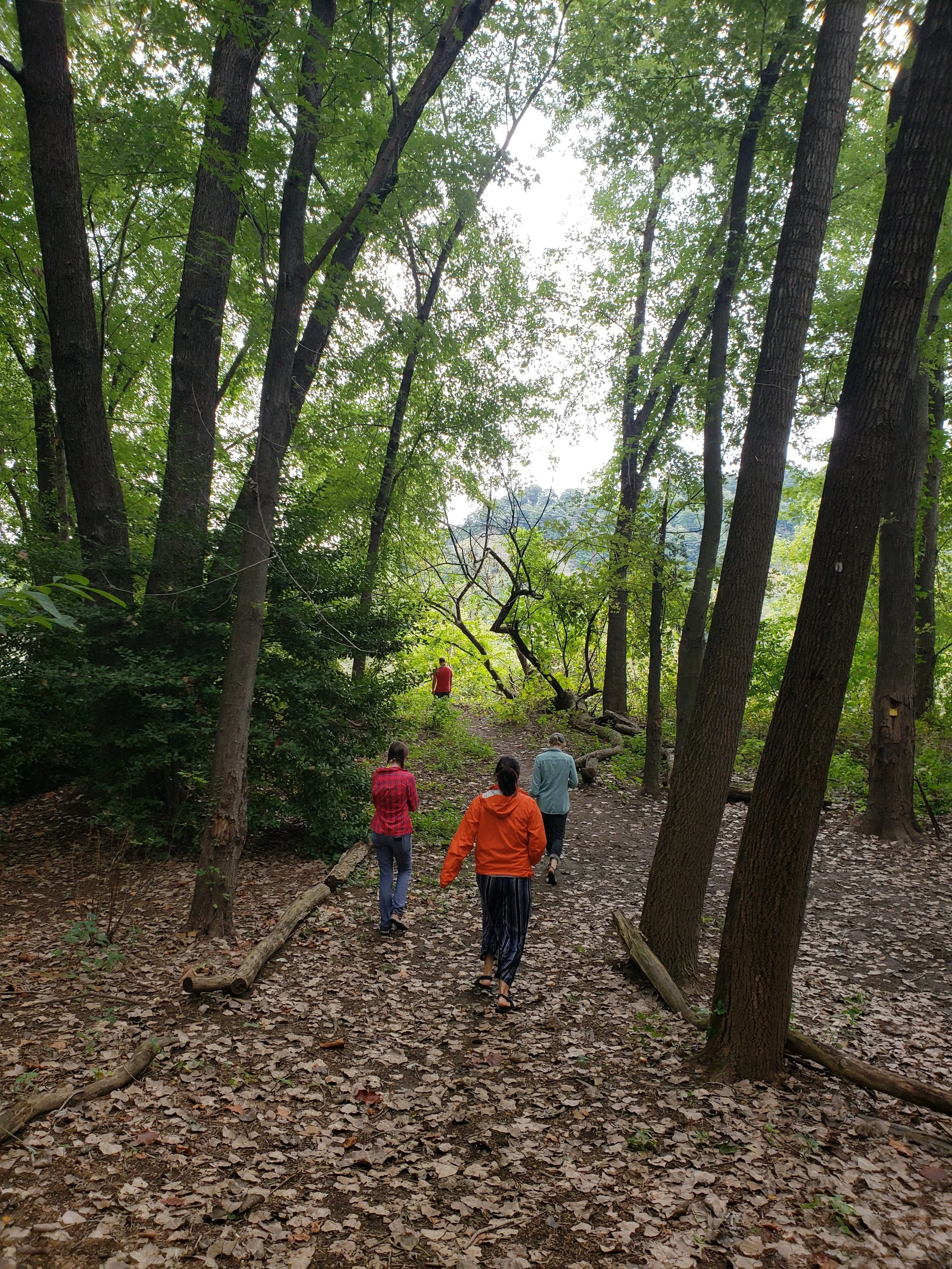 Hiking around Sycamore Island late September.