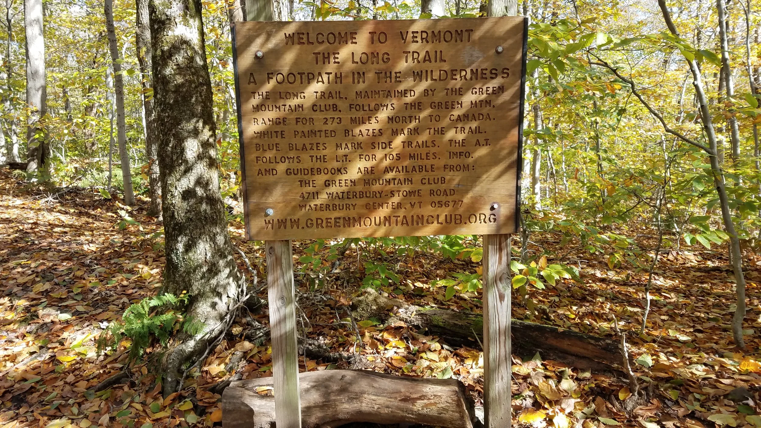20181018_121446.jpg