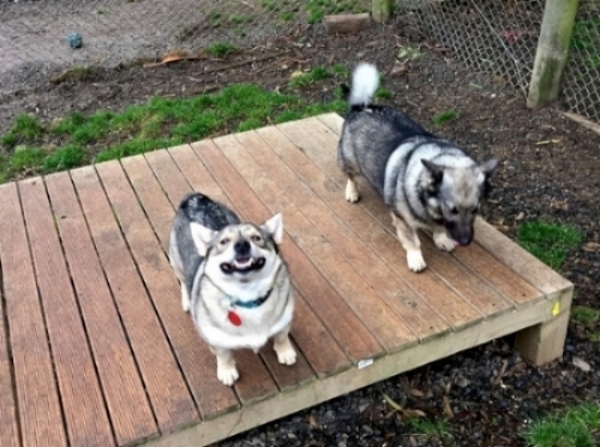 Hank and Nitro share a joke.