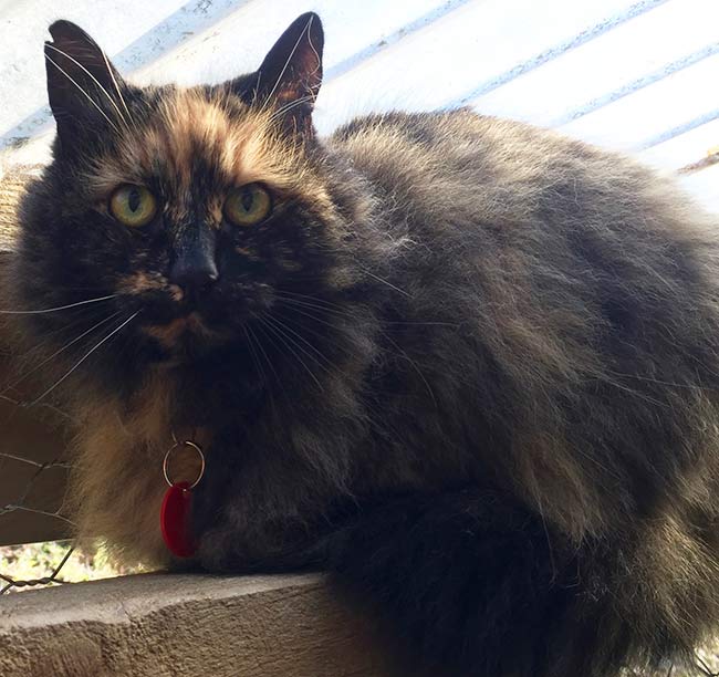Bermuda showing off her forehead triangle.