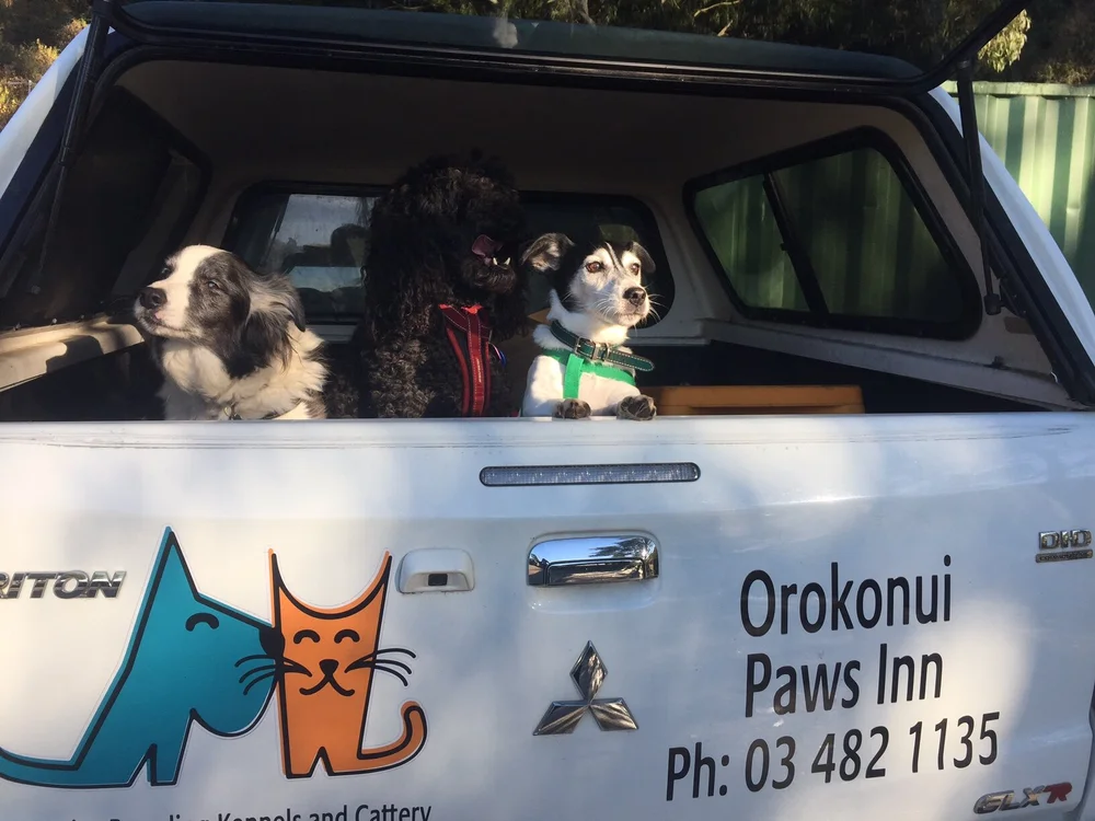 orokonui-paws-inn-about-us