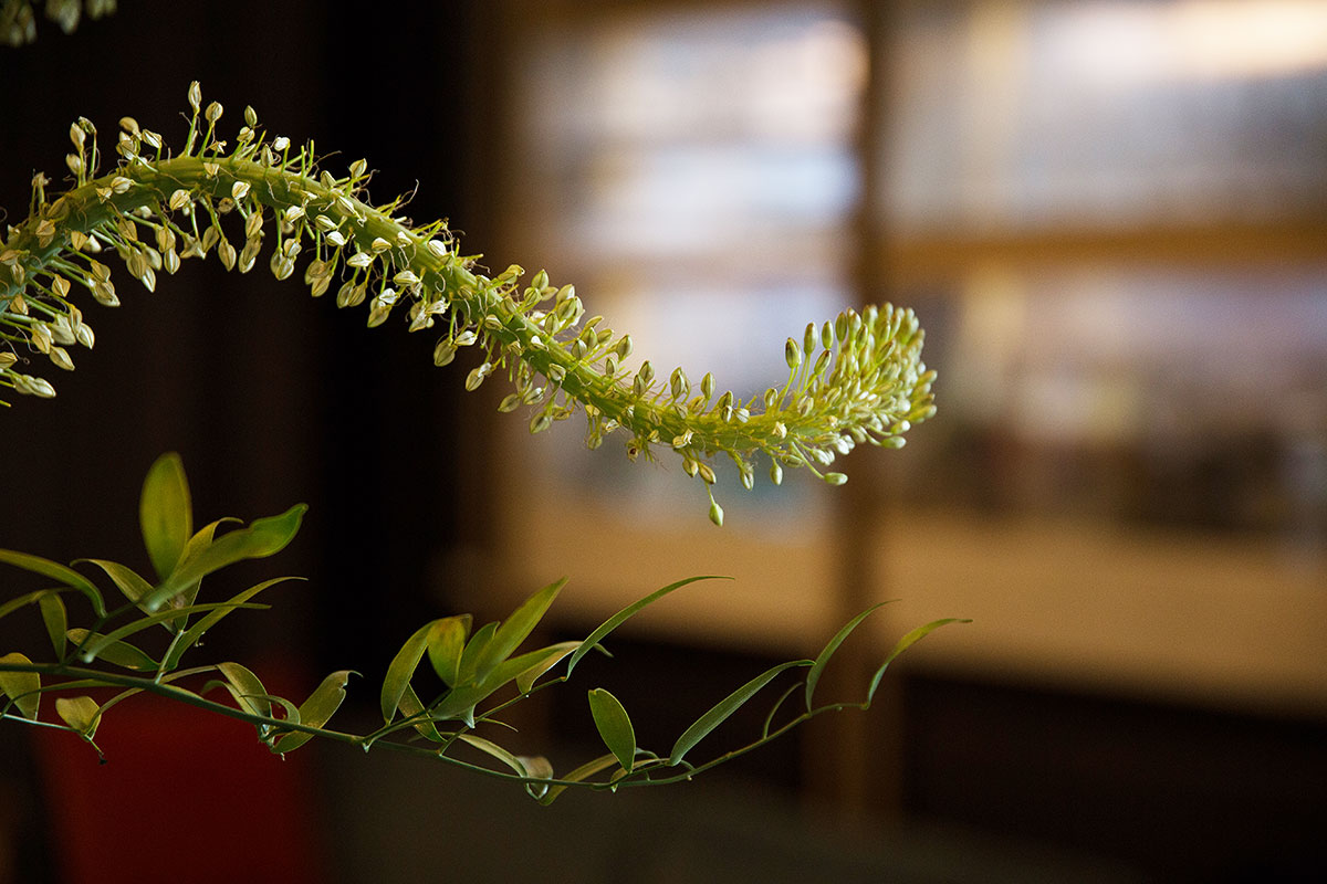 davidturnerphoto-15_v01.jpg
