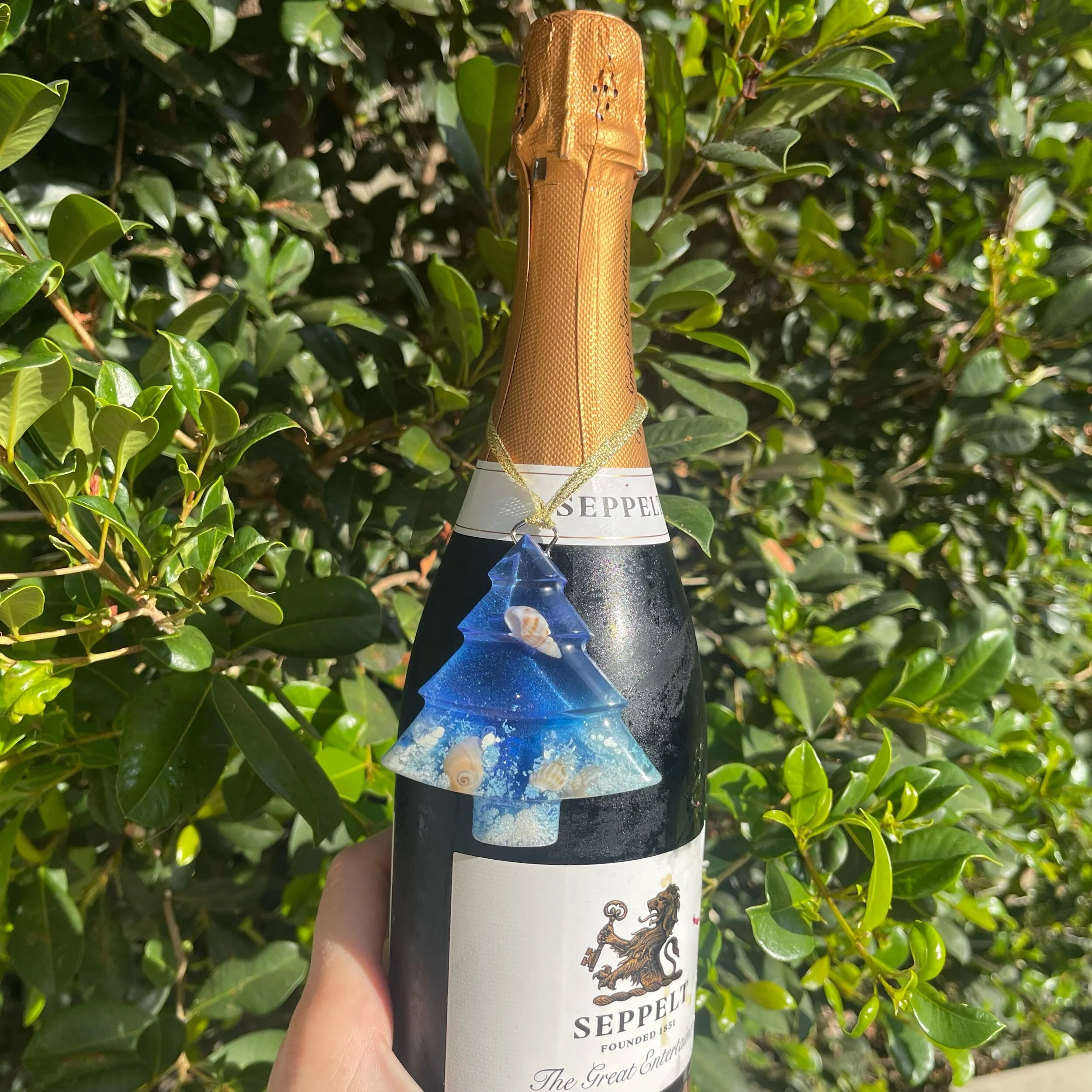 DF86A923-2F39-4E46-A373-893DCDFF91F5