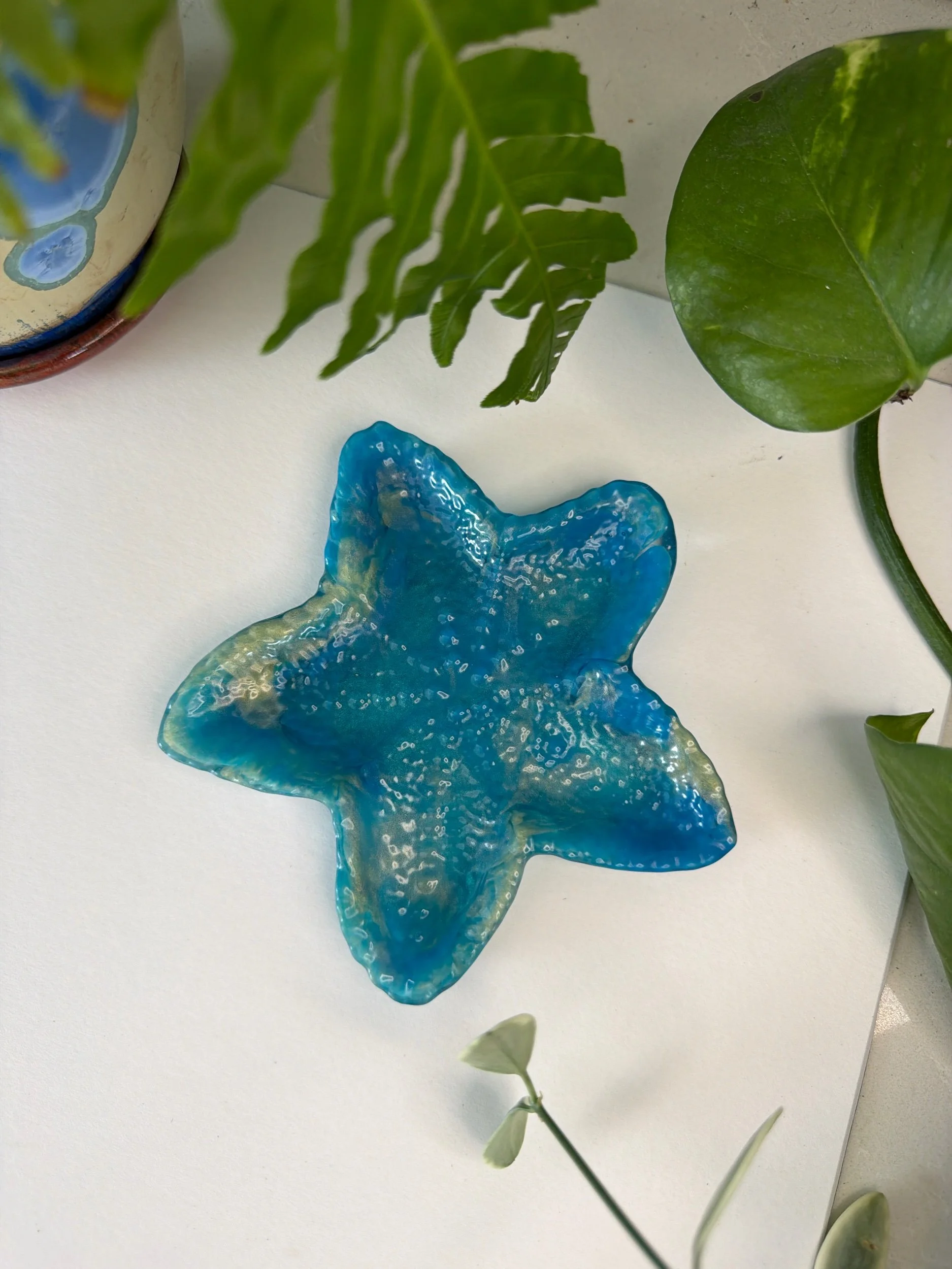 7890F26D-9A9D-49CA-A2C7-11C7568682D7.jpeg