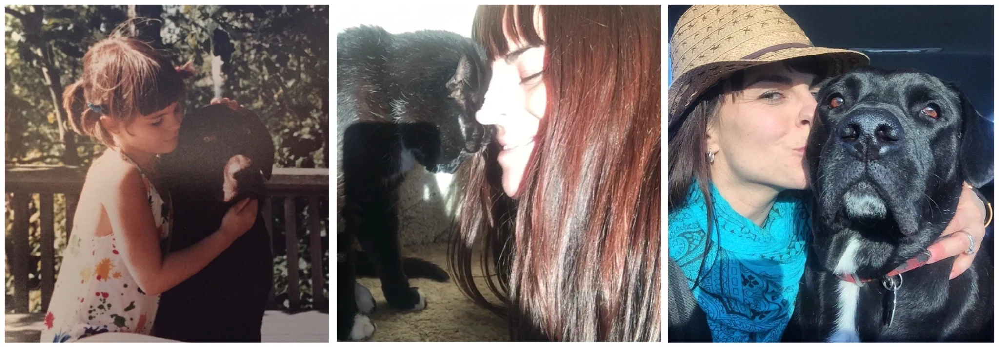 My furry loves: Casey, Lilli, and Scout. 