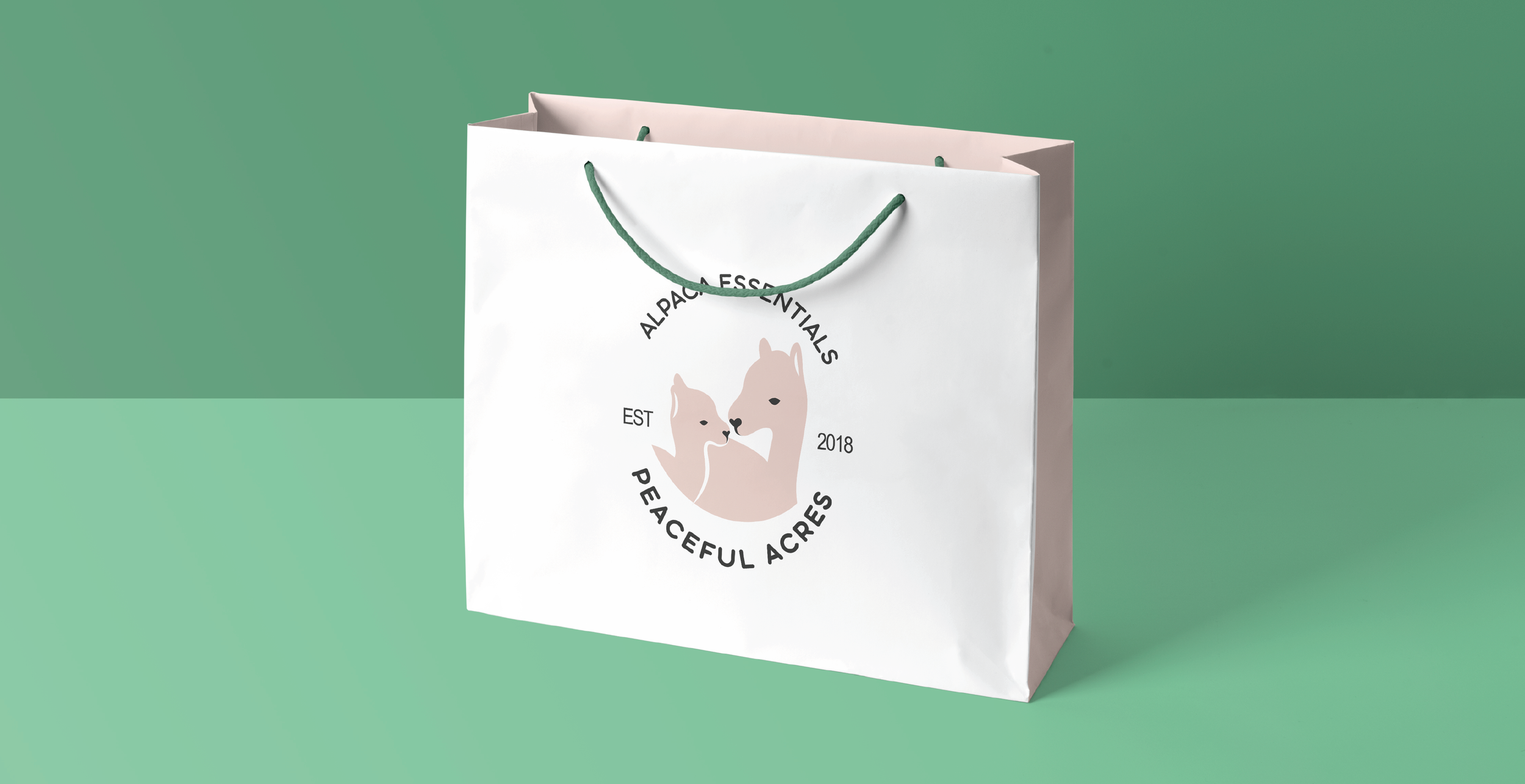 Alpaca Portfolio-03.png