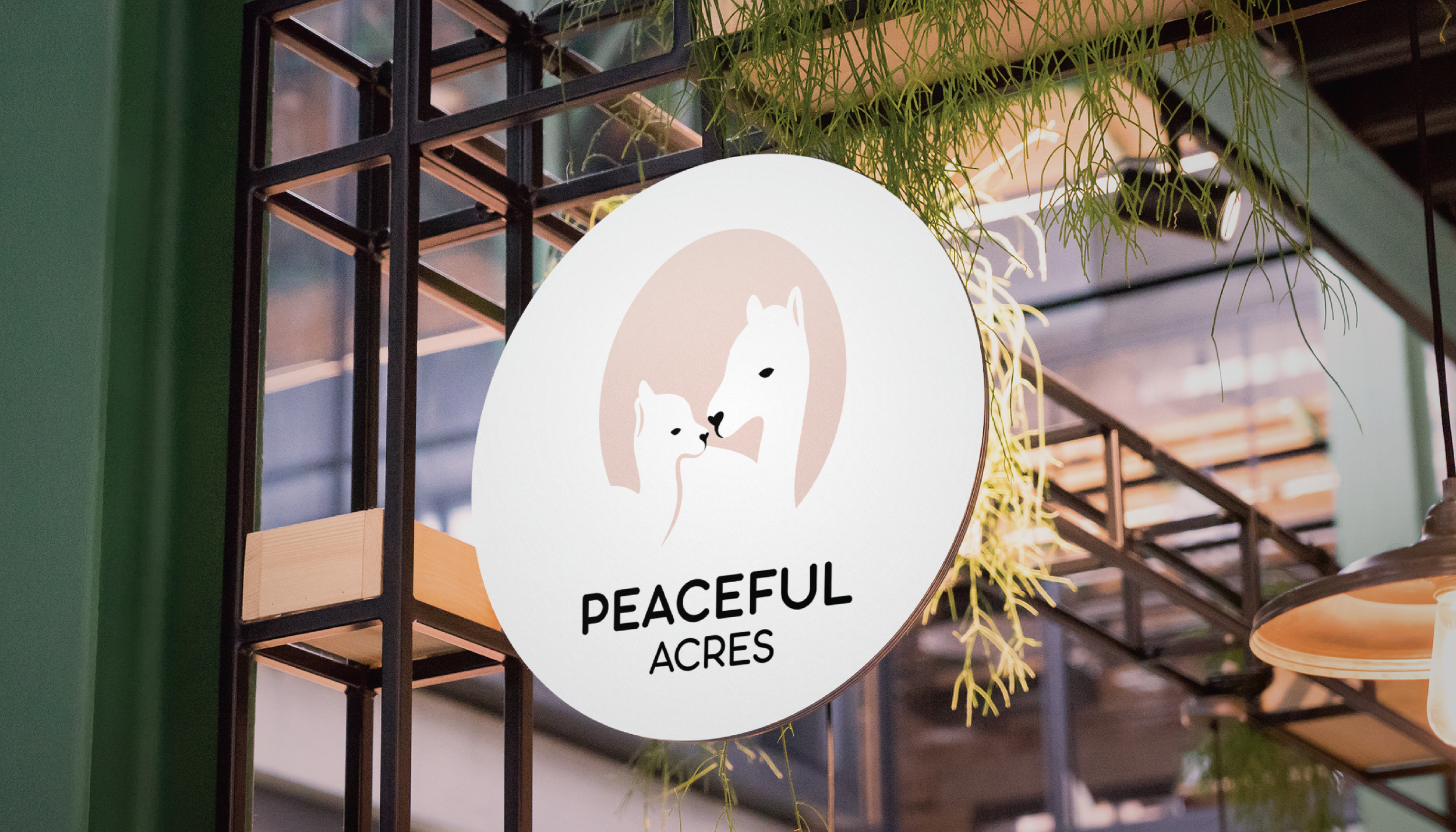Alpaca Portfolio-01.png