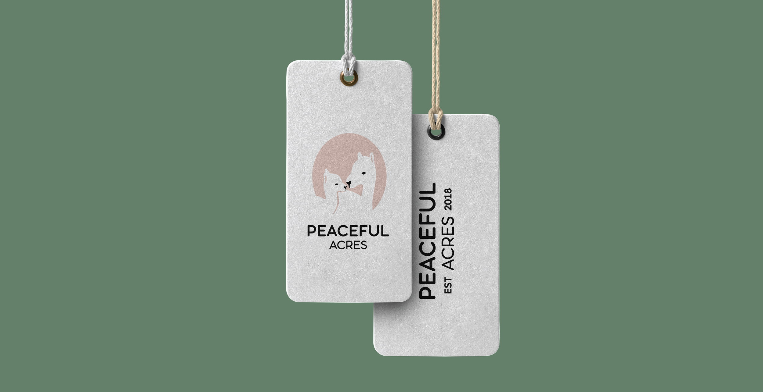 Alpaca Portfolio-05.png