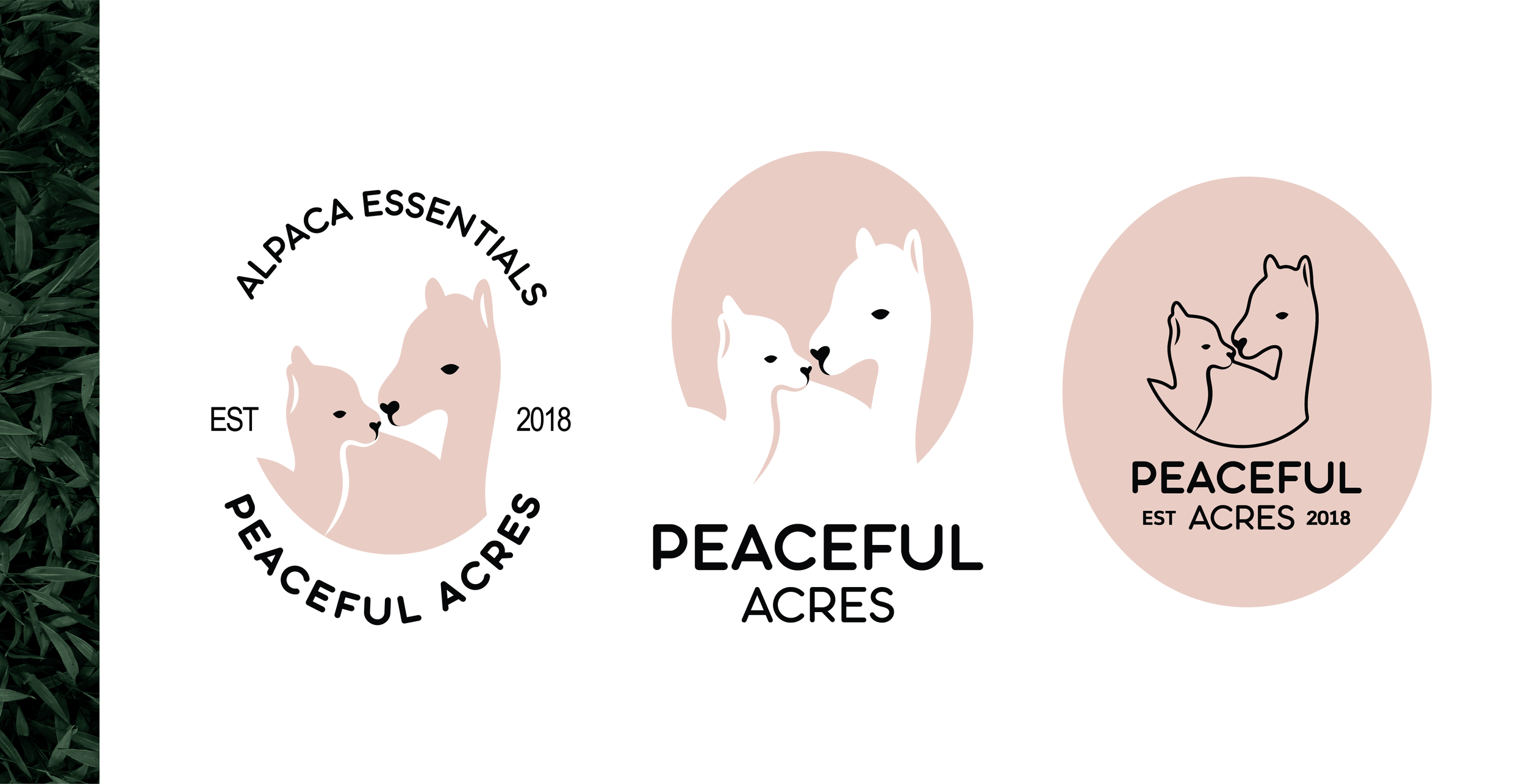 Alpaca Portfolio-06.png