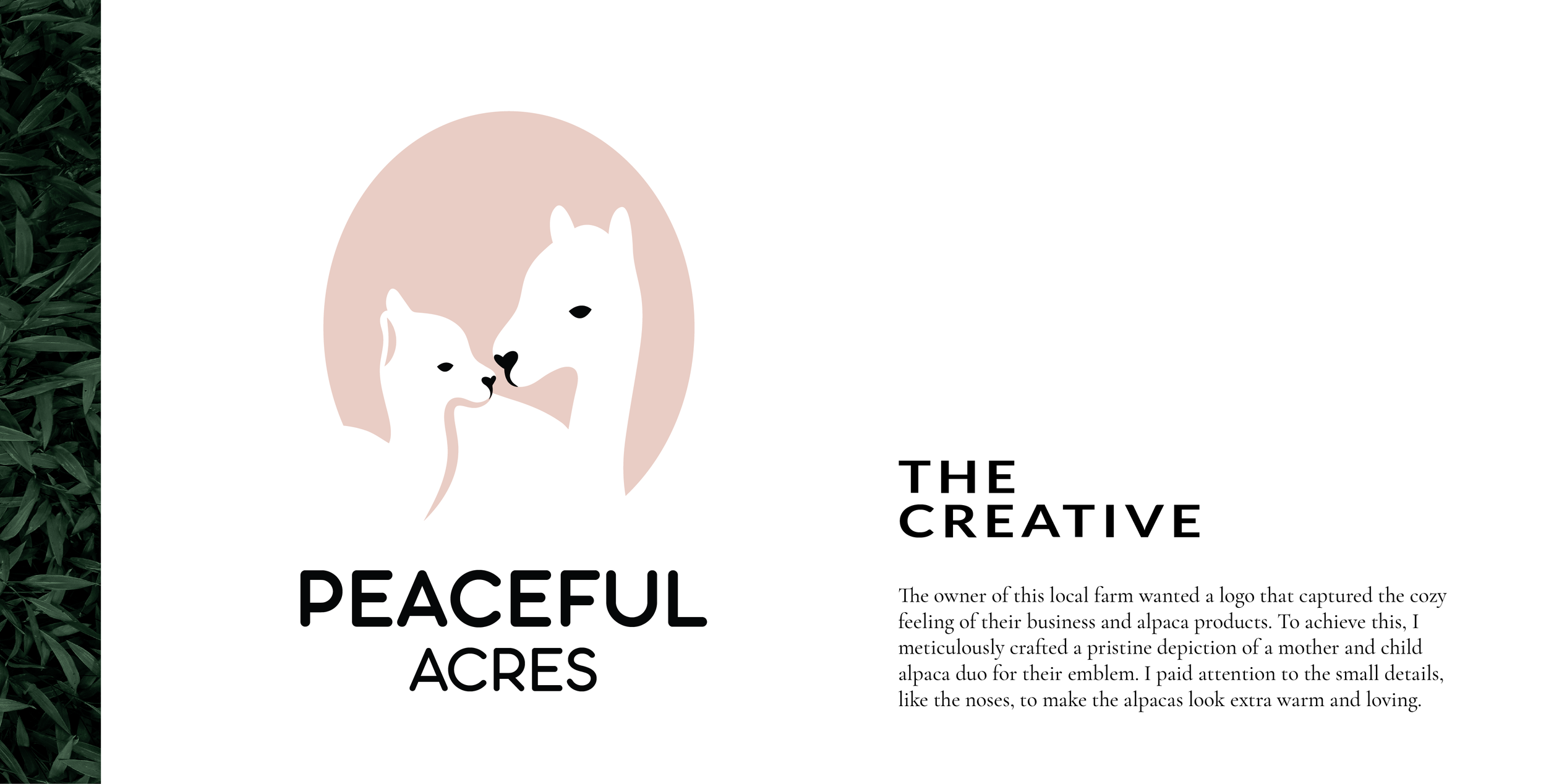 Alpaca Portfolio-02.png