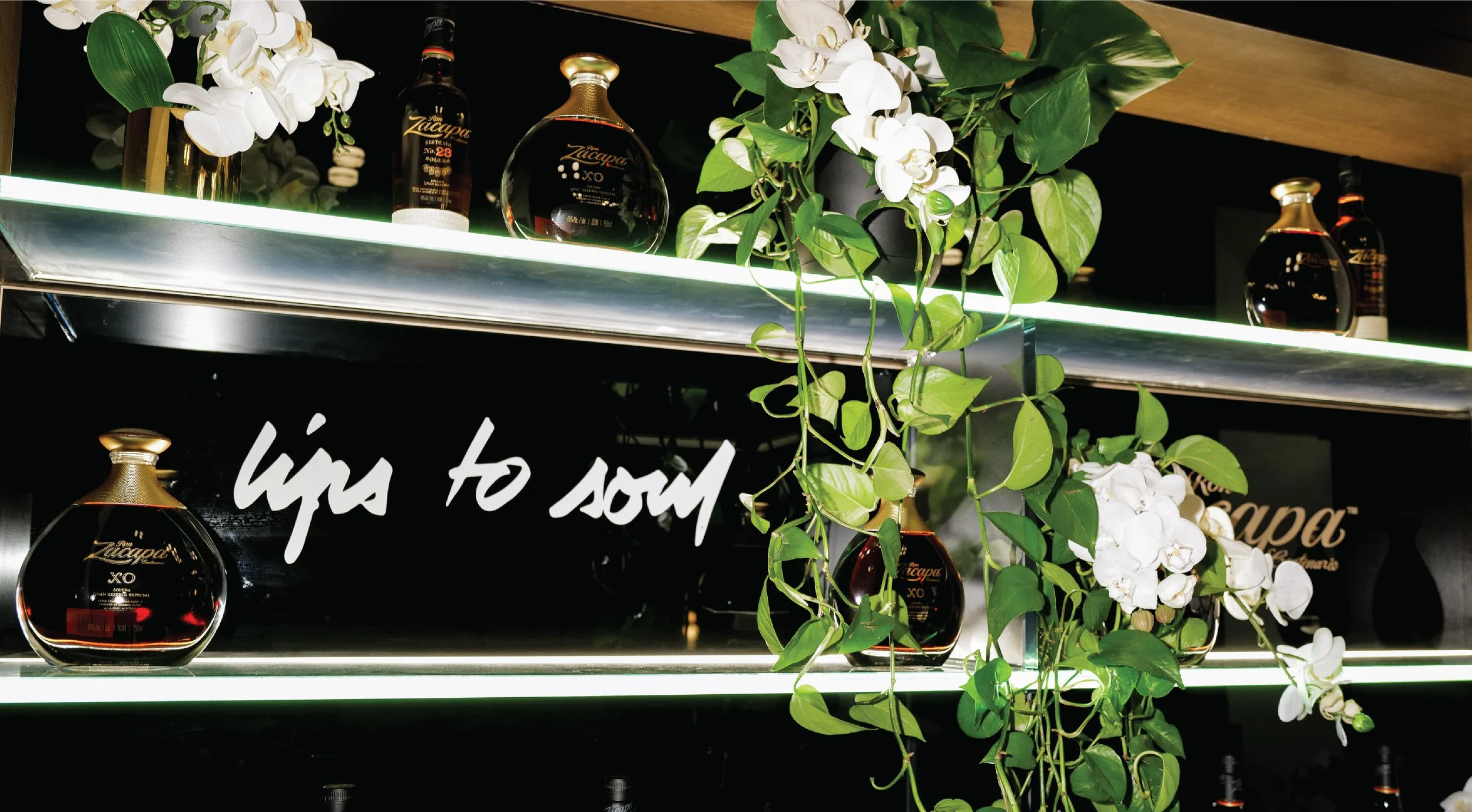 Portfolio Zacapa-07.jpg