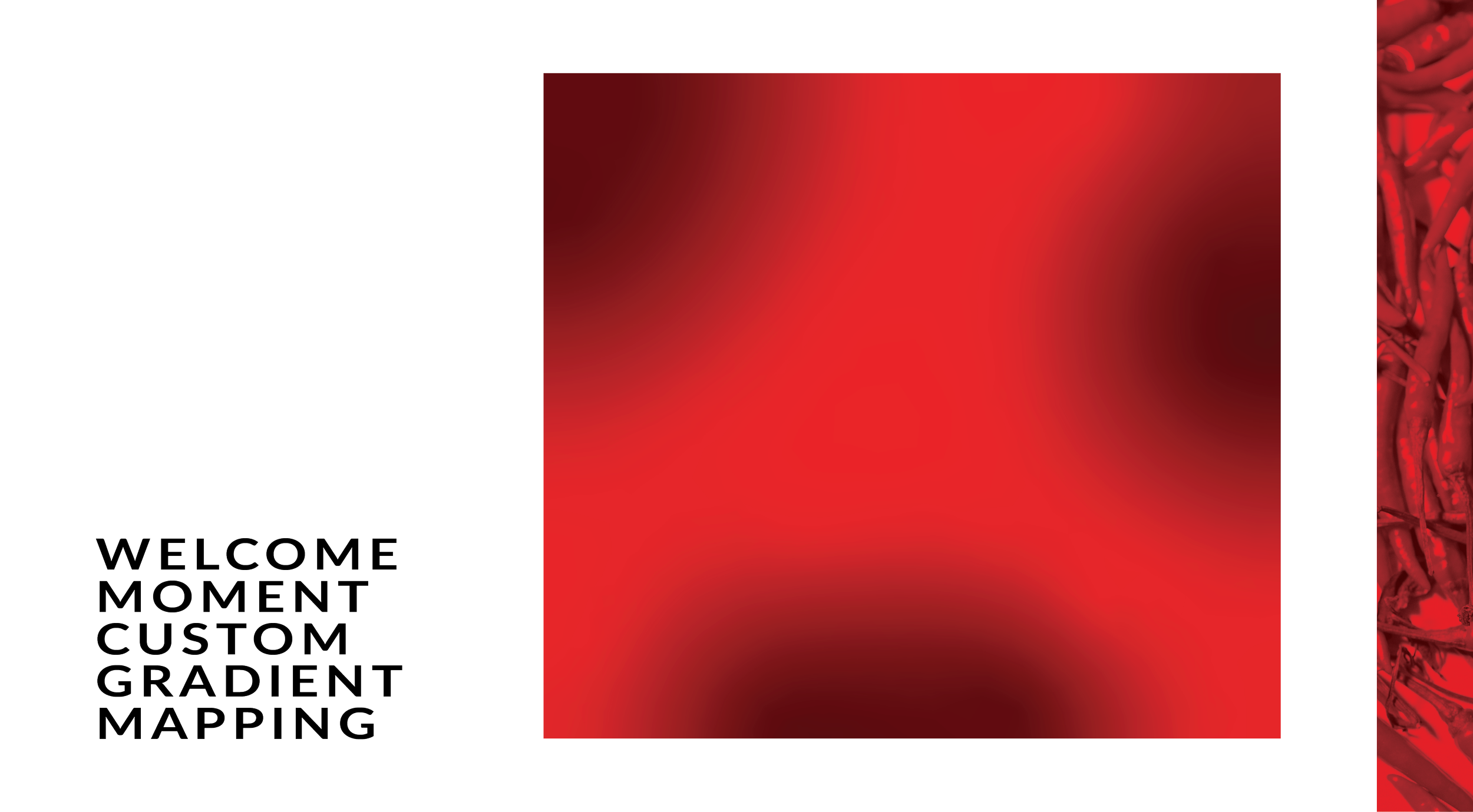 Portfolio Absolut-04.png