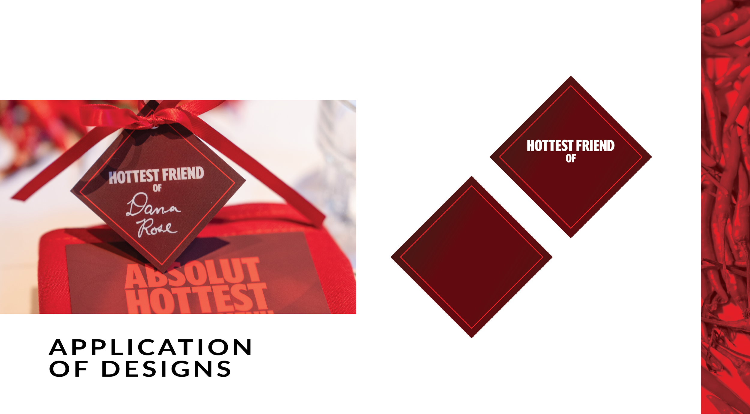 Portfolio Absolut-08.png