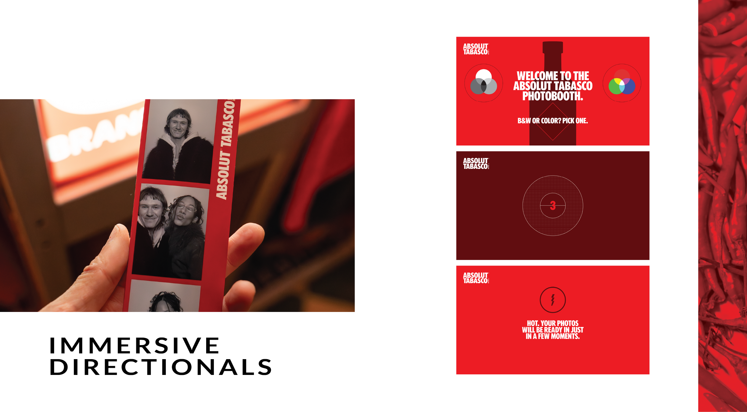 Portfolio Absolut-12.png