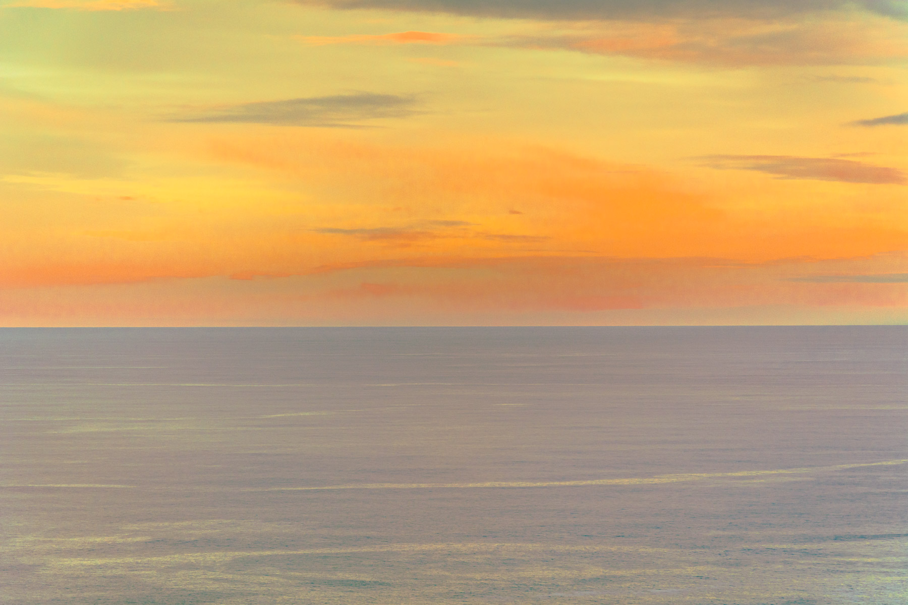 DSC_9316.jpg