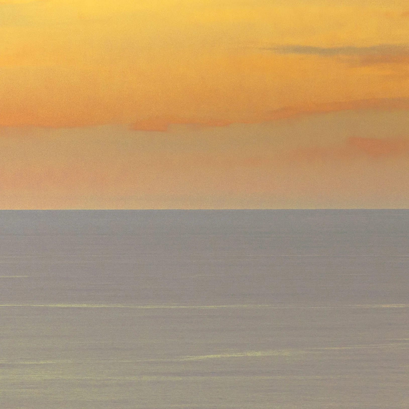 DSC_9316_crop.jpg