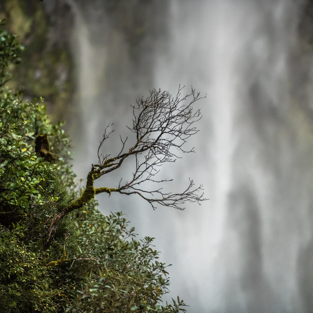 Arthurs Pass- Devils Punchbowl