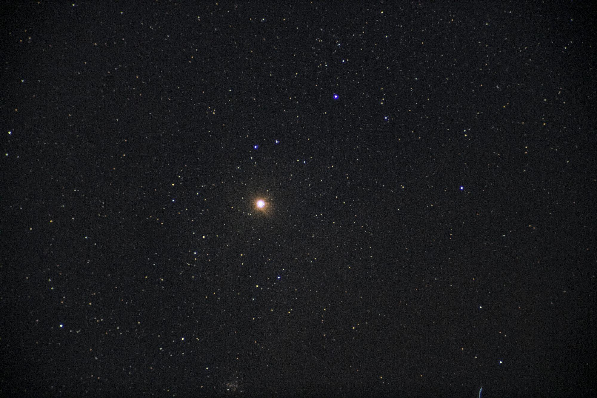 Rehua / Antares