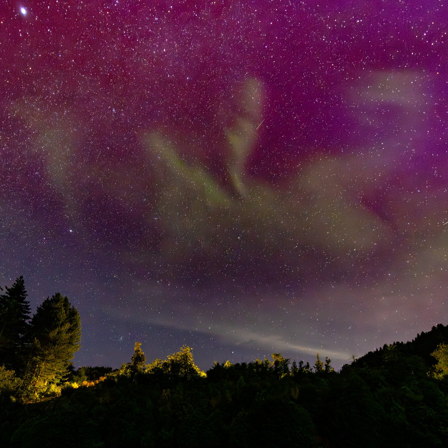 Aurora corona converging directly overhead in a crown-like pattern with radiating green beams, trees in foreground illuminated by a single street light in rural Closeburn