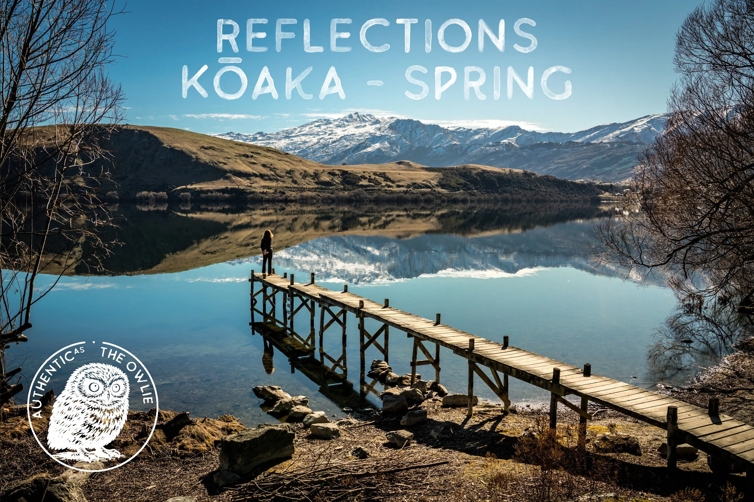 Reflections from spring