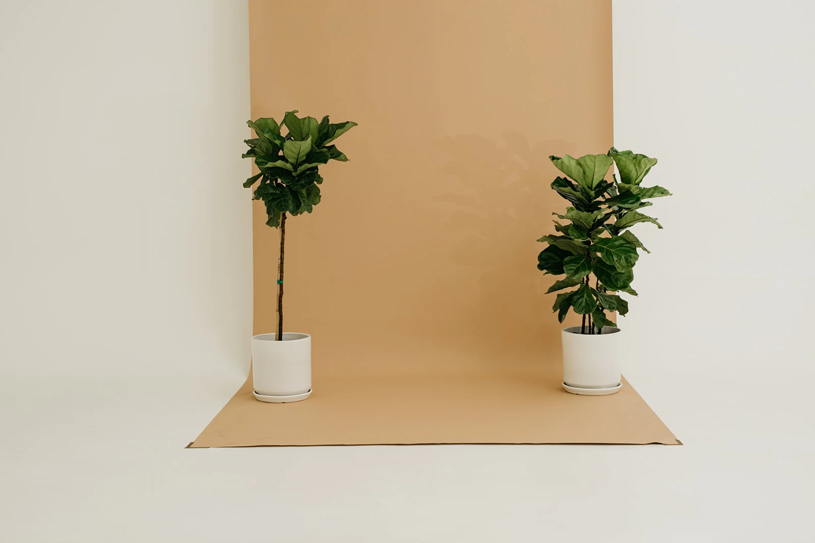 portland oregon modern wedding and event florist foraged blooms