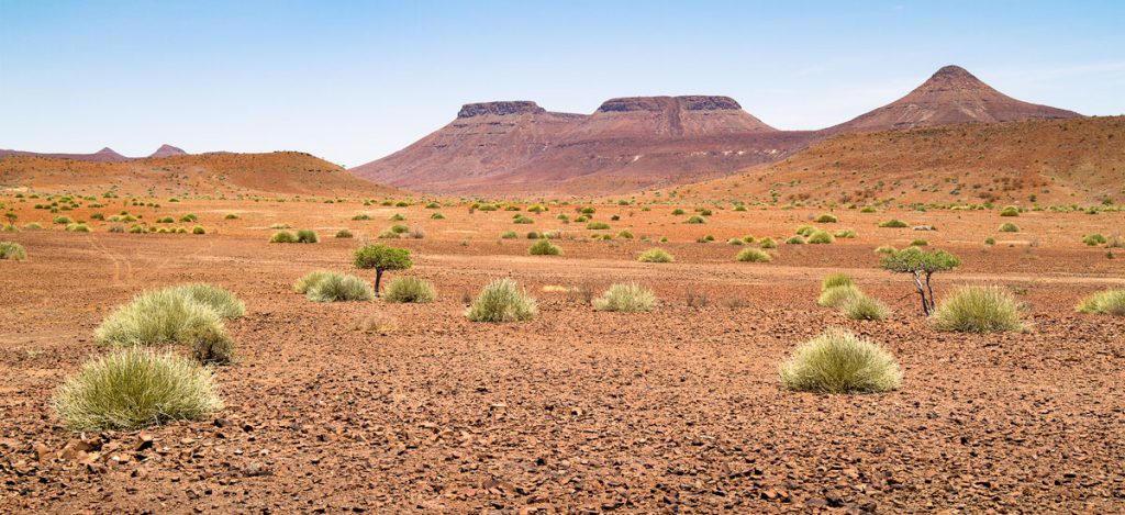 A photograph that was taken near to Springbokwasser, Namibia