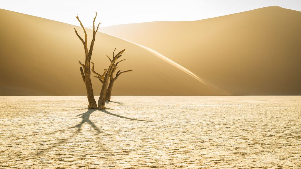 Midas Touch – Deadvlei, Namibia – 1/100s at ƒ/8, ISO 100, Focal Length 33mm