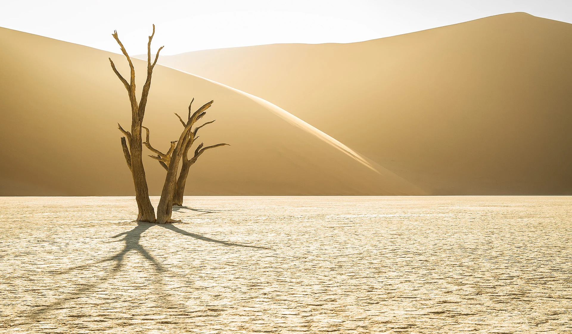 Midas Touch is an example of an image completed using high dynamic range techniques.