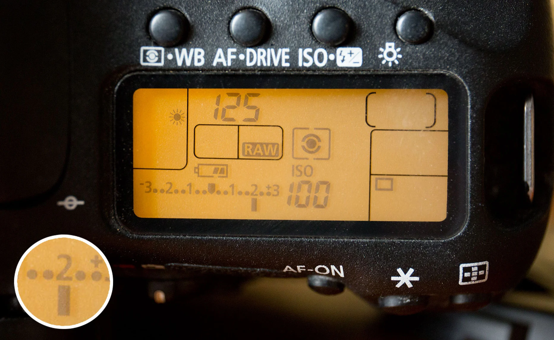 Typical camera settings with +2 stops of exposure compensation dialled in.
