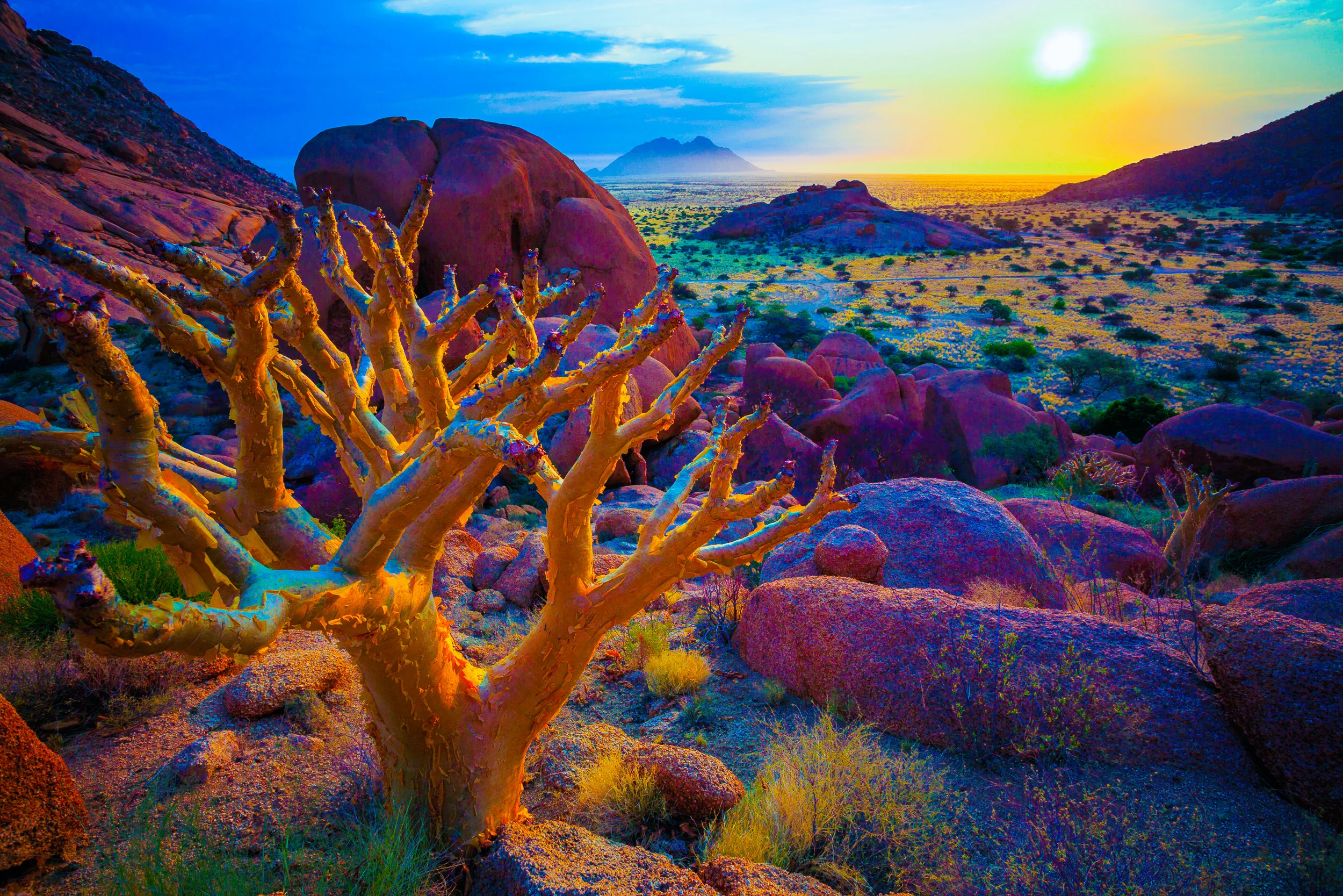 The white balance adjusted for a cooler Kelvin value.