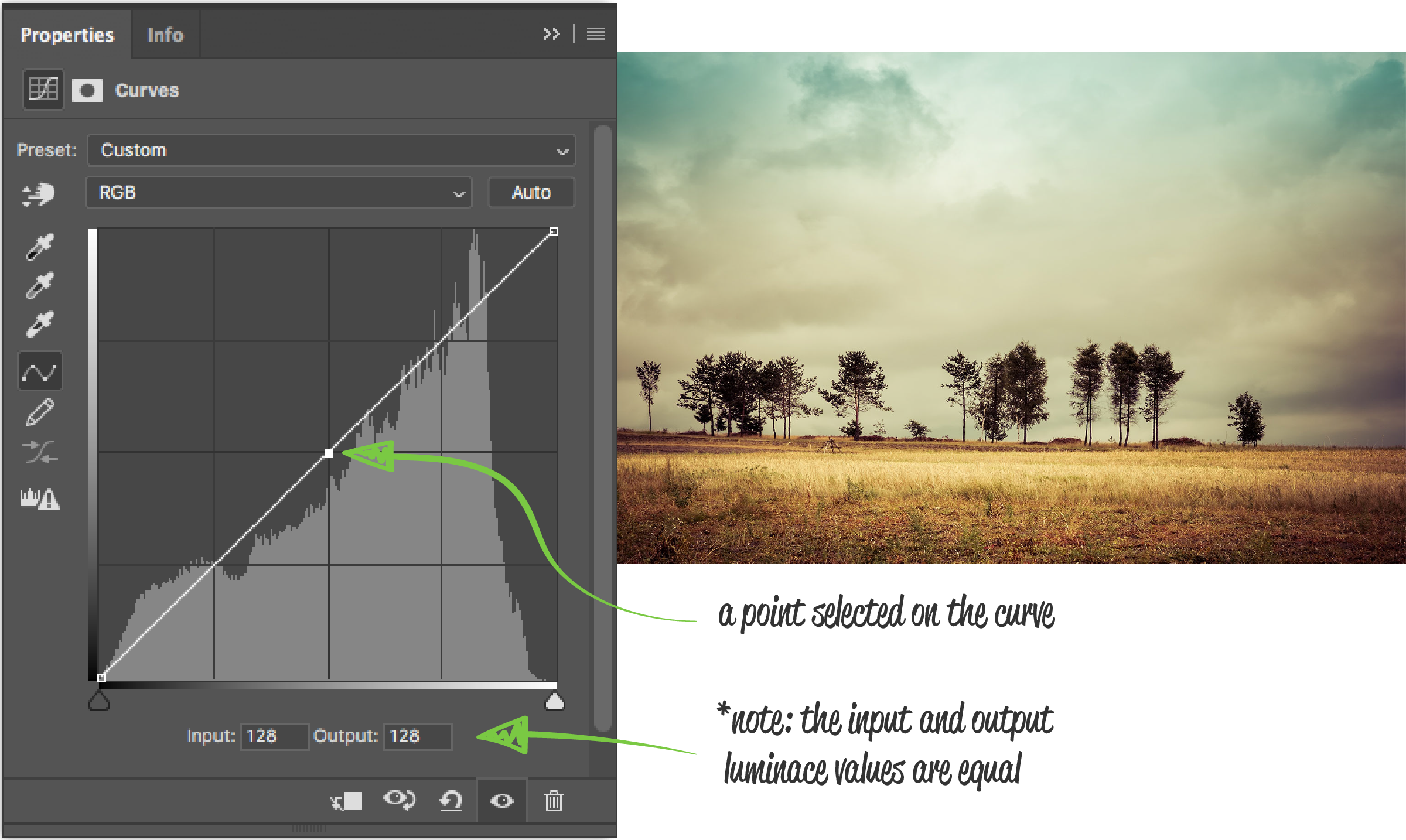 the-anatomy-of-a-curve-adjustment_Curve (Default Values) copy 2.png