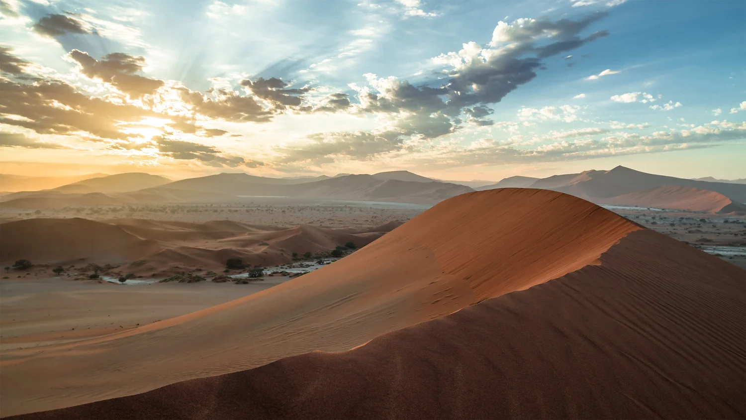 big-mamma-sand-dune-western-king.jpg