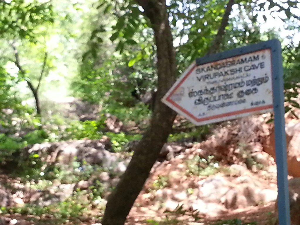 Ep.01 - The Path to Skandashram Cave at Ramana Maharshi Ashram