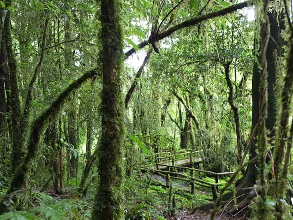 Ep.04 - Khao Nan National Park