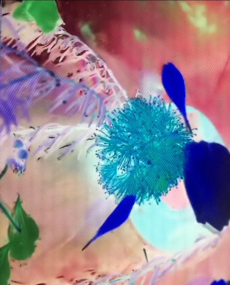 Video still, Seen and Not Seen, collaboration with Dylan Martorell, 2016