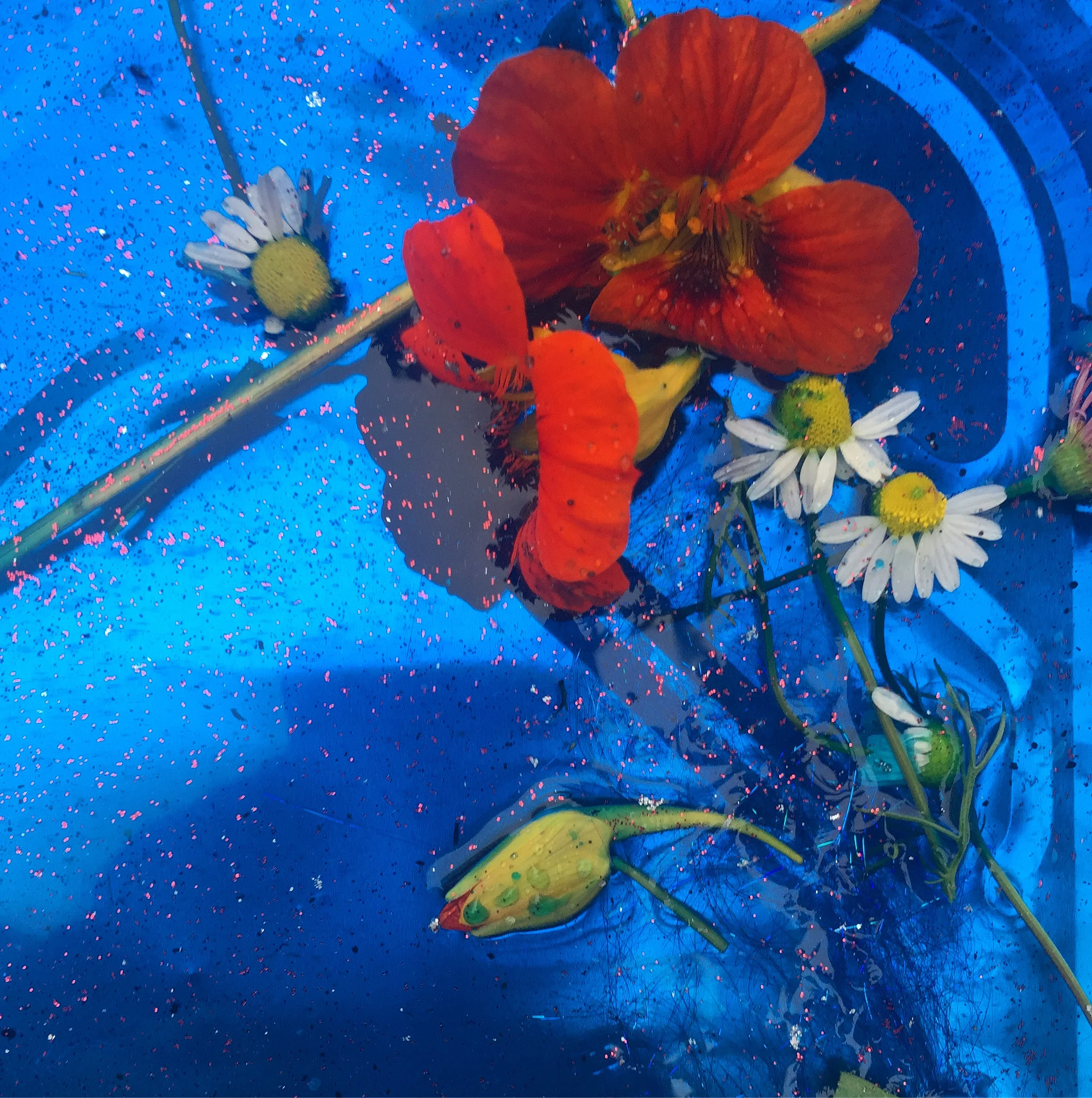  Ikebana with bio glitter 