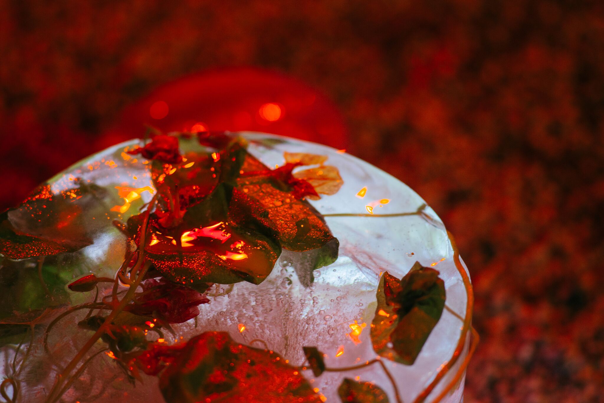 Suspended Nasturtiums , Lichen Kelp with Kelp D/J and Benjamin Hancock at Testing Grounds, November 2017 