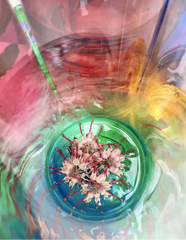 flowerphone interior.jpg