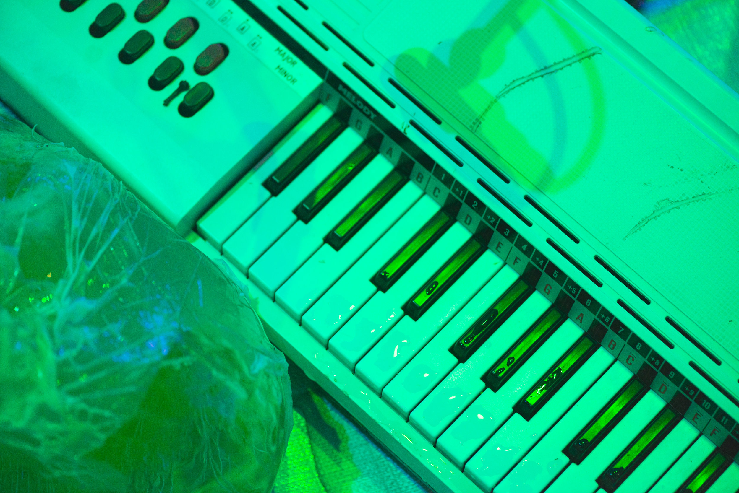y plant keybd.jpg