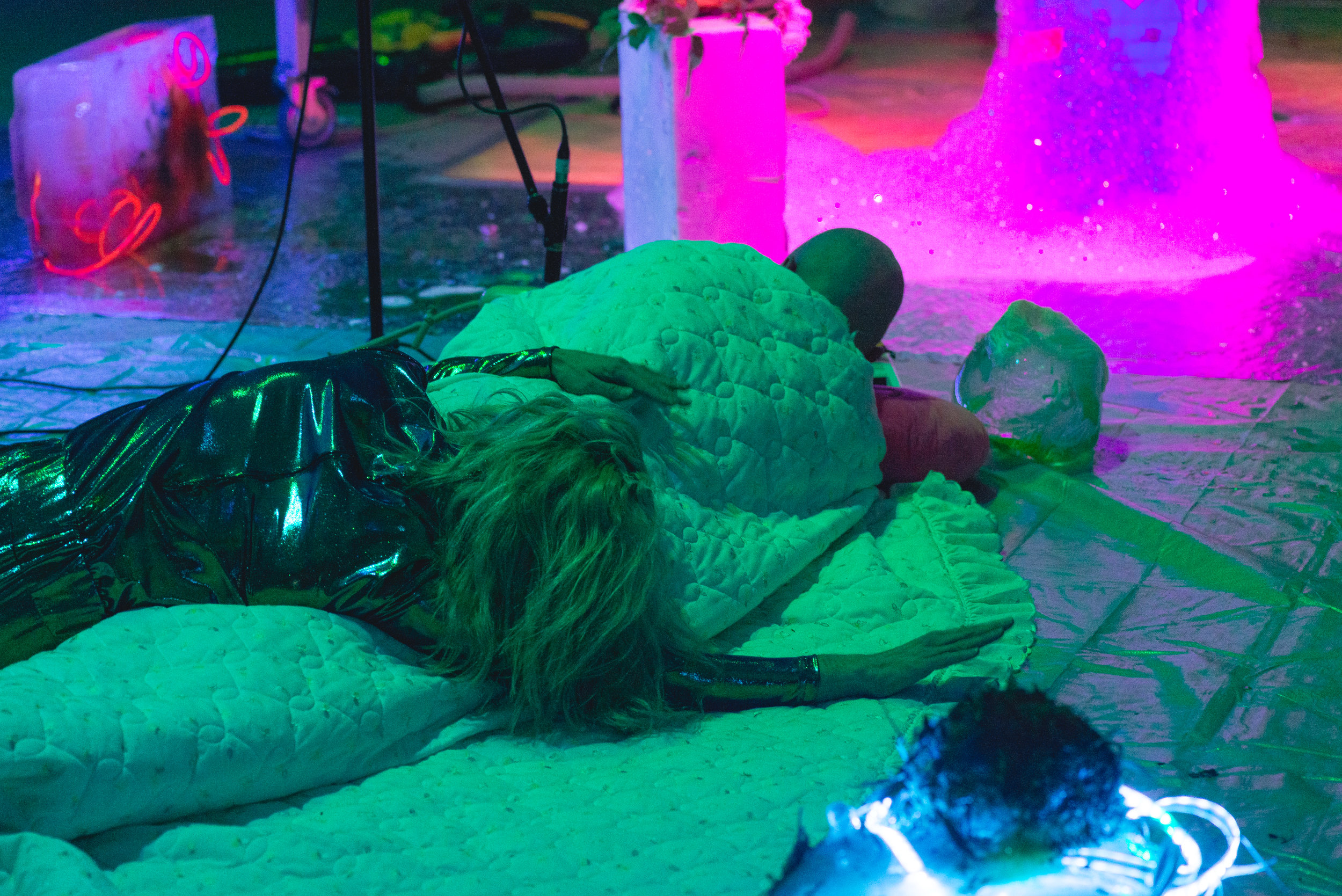 y plnt slp.jpg
