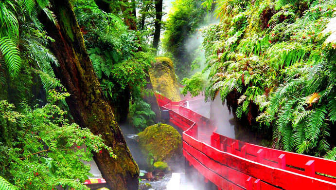 thermal bath.jpeg