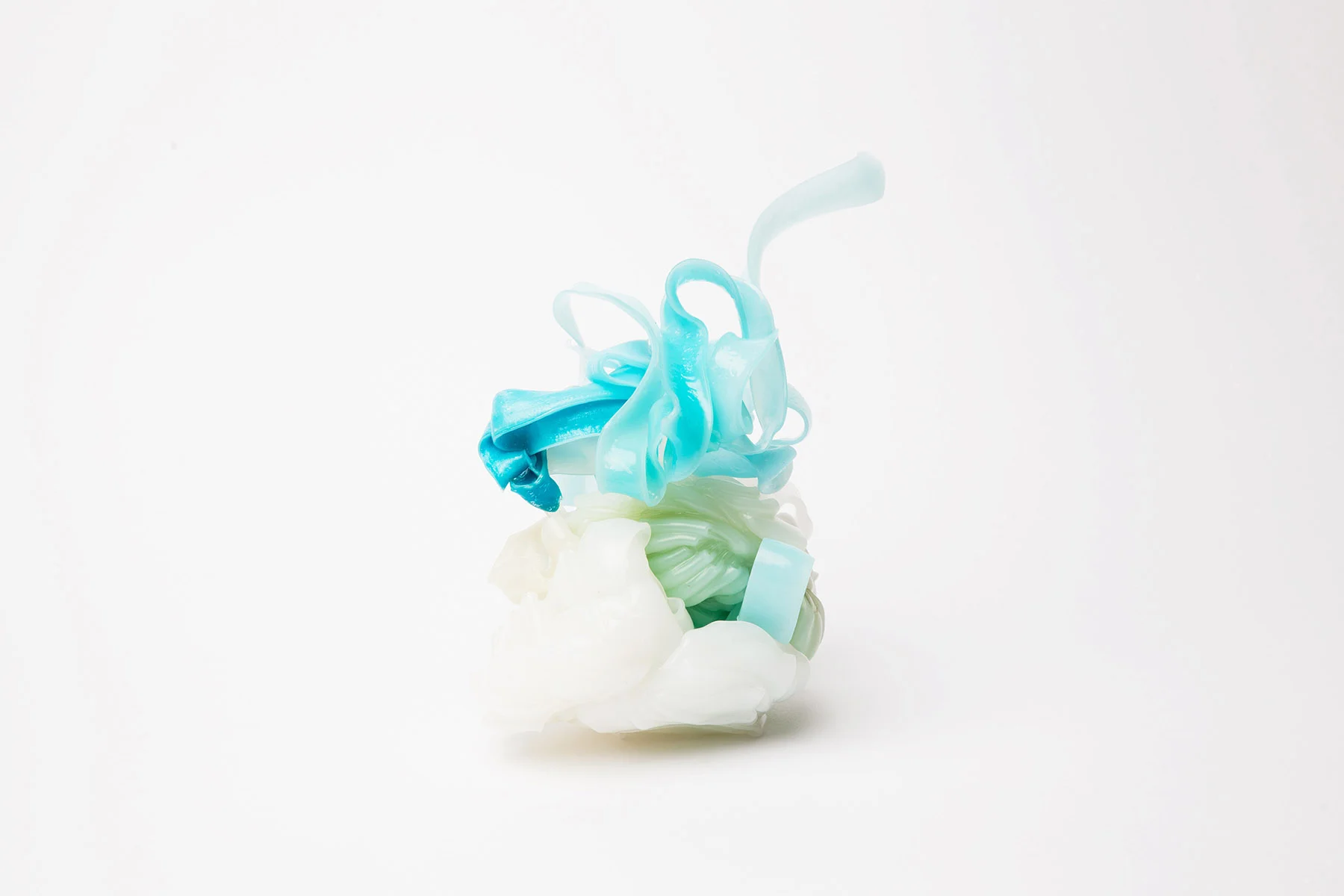 Bio Plastics crafting plastics! studio https://haeckels.co.uk/journal/cps-bioplastics/