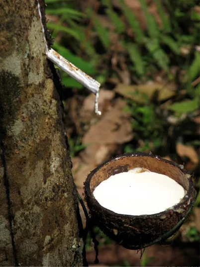 Natural Rubber AGF Hydra AGF Hydra Youtube