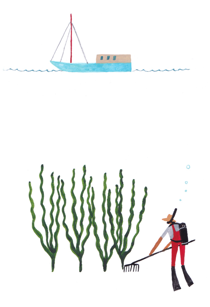 Kelp Farming. Matt Bates from Matters Journal will present a session on kelp farming as well as present illustrations and excerpts from a kids book on seaweeds he is working on I Get By with a little Kelp from My Friends Matters Journal