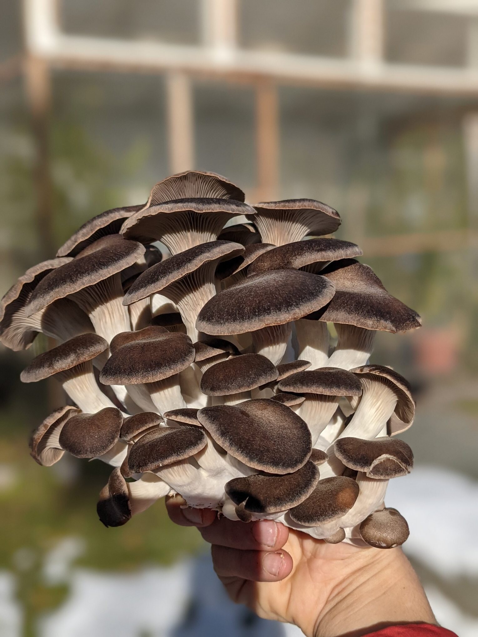 AF635C53-C676-448C-B847-3B8F6A6DA9B9