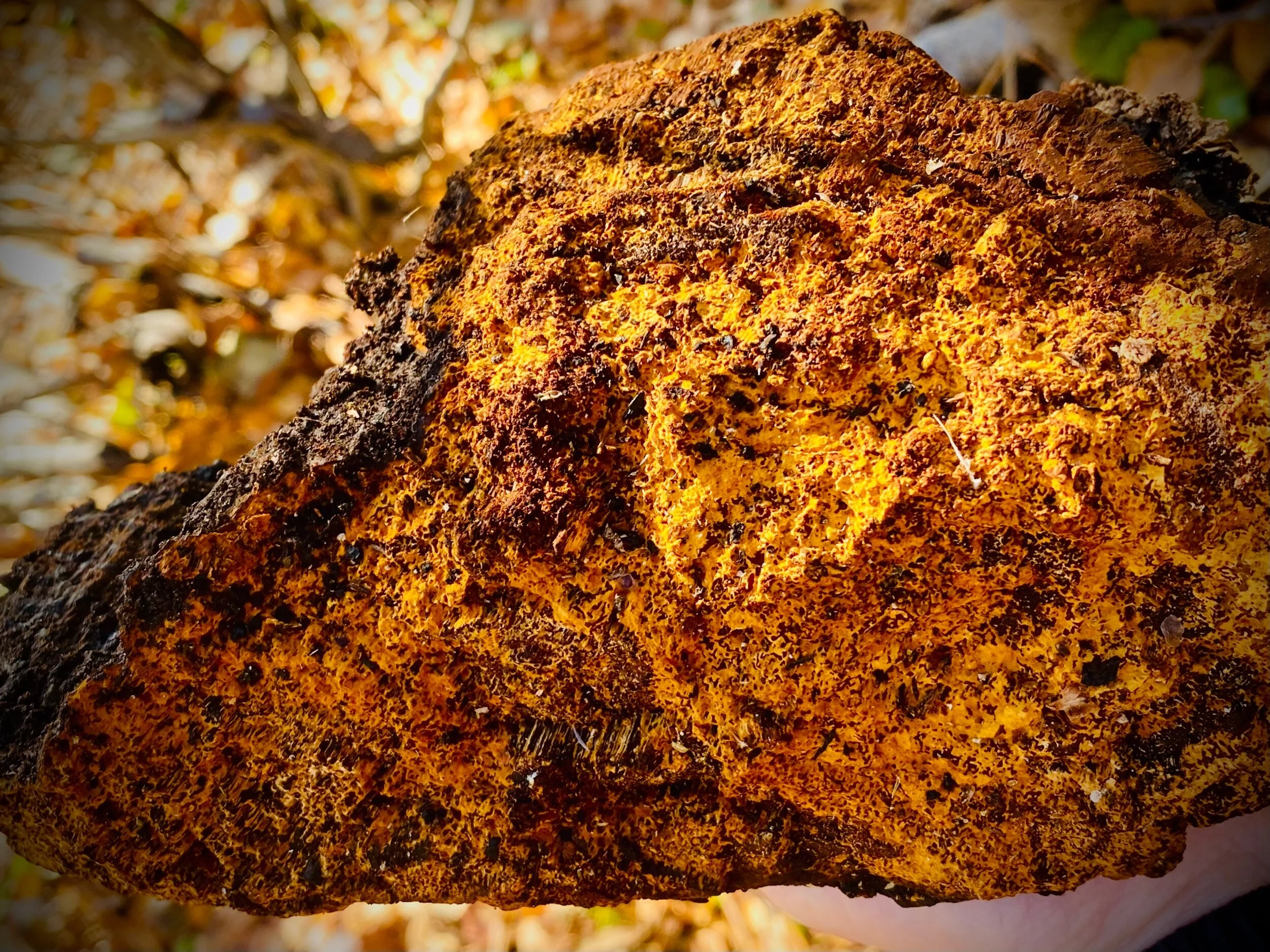 BC7C9D7B-AF50-4DAD-92BC-79630250DD01