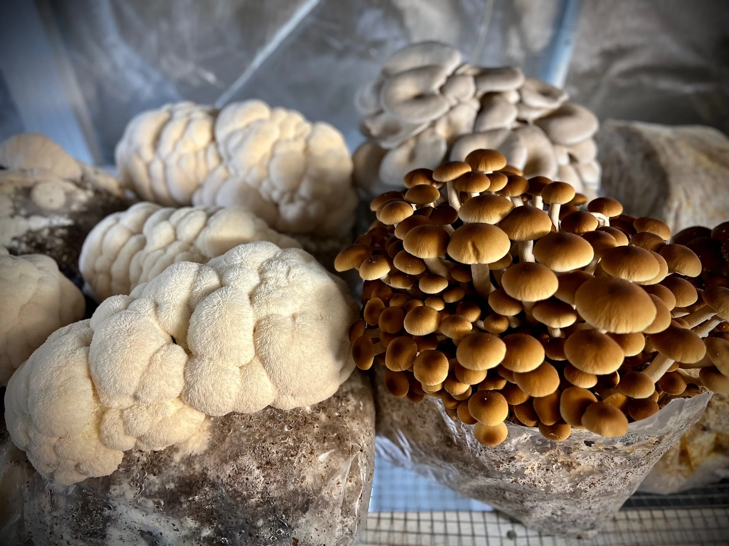 30856904-D158-40F9-B70F-20E783270E42