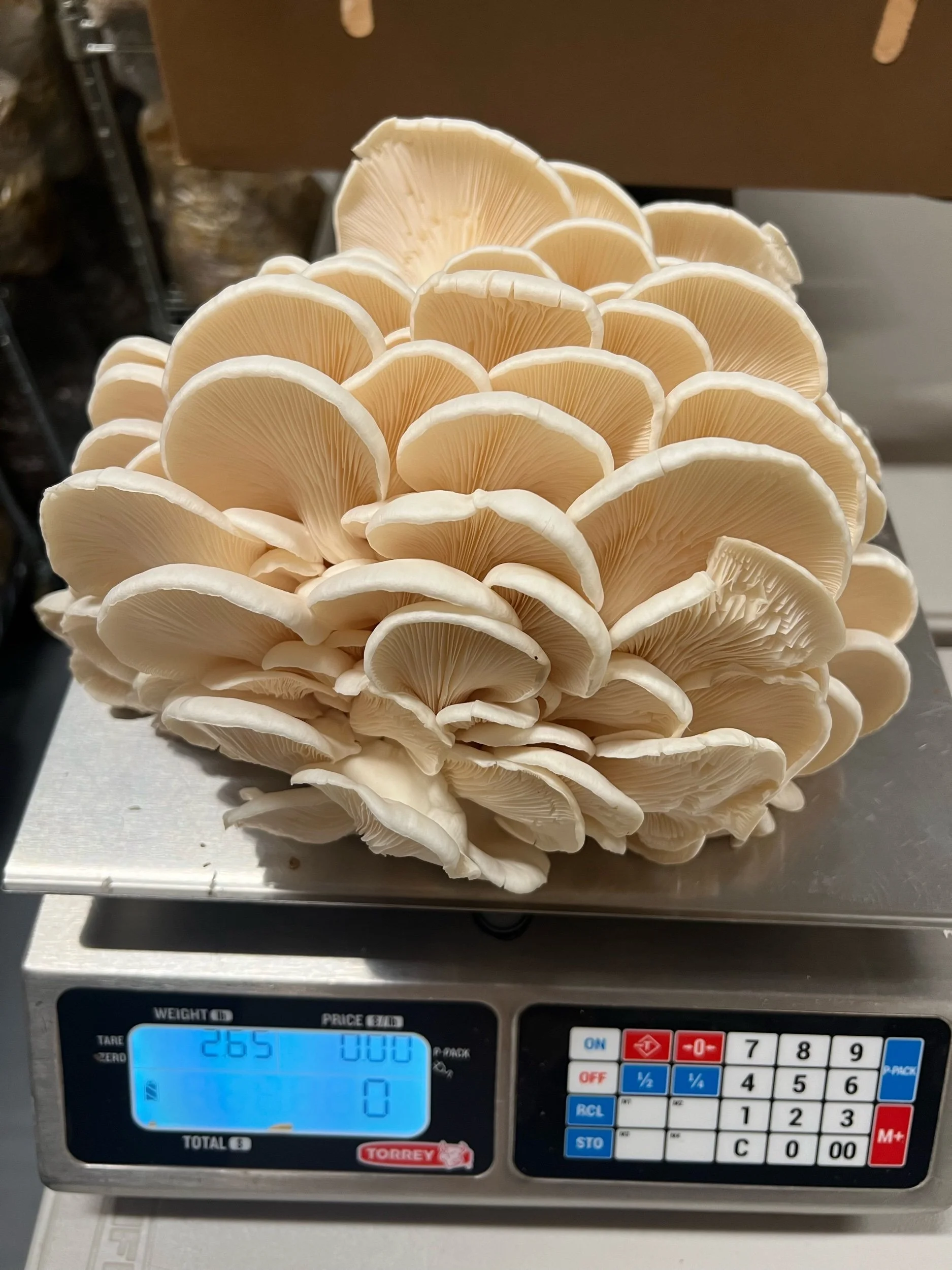 9DA32DA3-92A3-4917-A4F9-CB2D5B498848